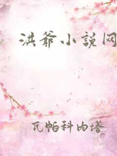 洪爷小说网