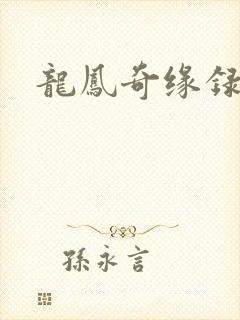 龙凤奇缘录