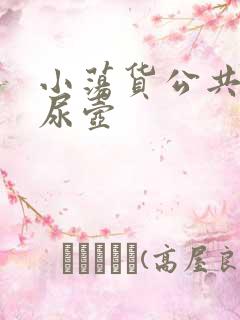 小荡货公共精厕尿壶