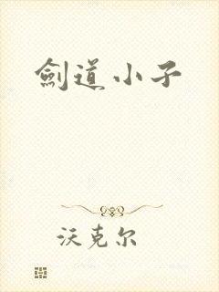 剑道小子