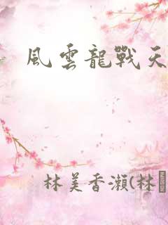 风云龙战天下