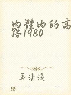 肉体内的高速公路1980
