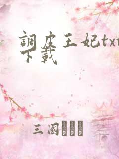 调皮王妃txt下载