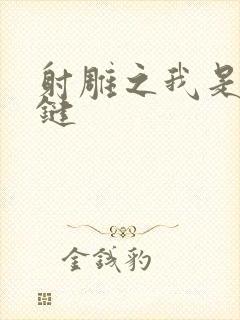 射雕之我是钱青键