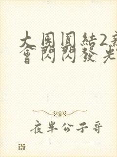 大团圆结2亲情会闪闪发光目录