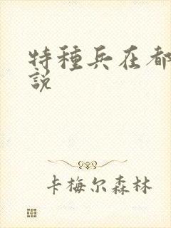 特种兵在都市小说