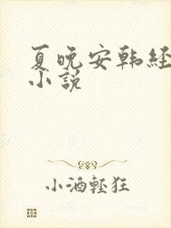 夏晚安韩经年的小说