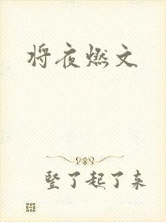 将夜燃文