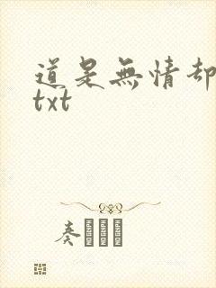 道是无情却有情txt
