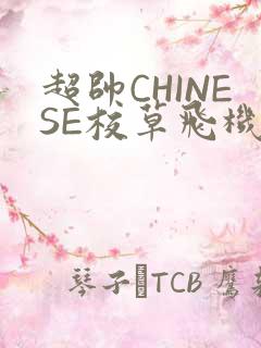 超帅CHINESE校草飞机BLUE