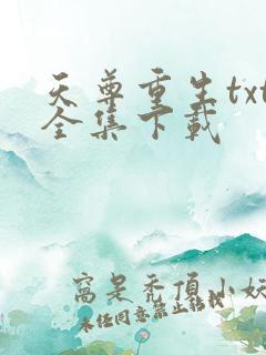 天尊重生txt全集下载