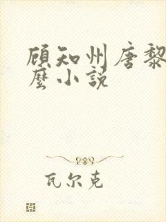 顾知州唐黎叫什么小说