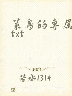 菜鸟的专属大神txt