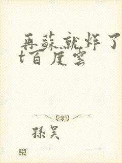 再苏就炸了txt百度云