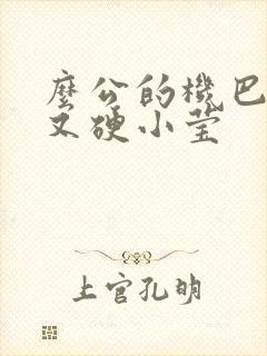 么公的机巴又粗又硬小莹