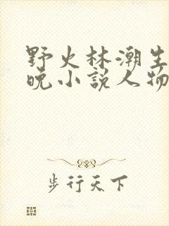 野火林潮生林晚晚小说人物野火