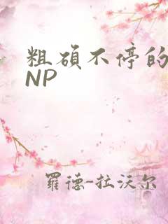 粗硕不停的进出NP