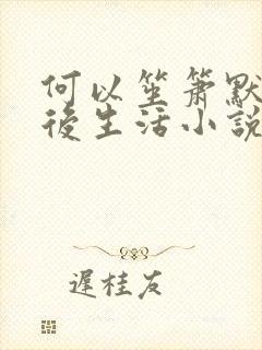 何以笙箫默之婚后生活小说
