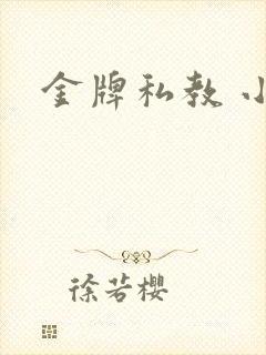 金牌私教 小说