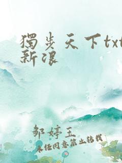 独步天下txt新浪