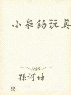 小米的玩具日记