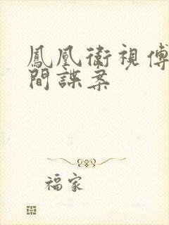 凤凰卫视傅晓田间谍案