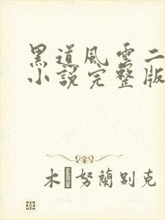 黑道风云二十年小说完整版