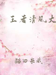 王者清风大结局