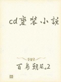 cd变装小说