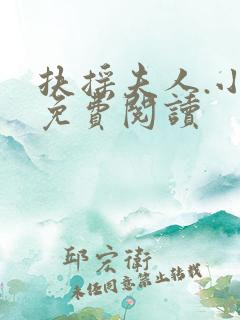 扶摇夫人.小说免费阅读