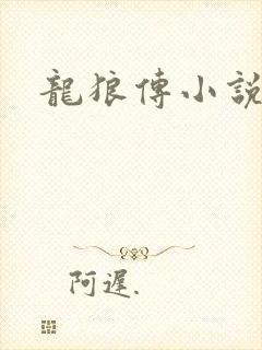 龙狼传小说