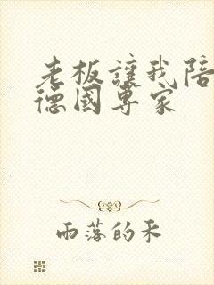 老板让我陪两个德国专家