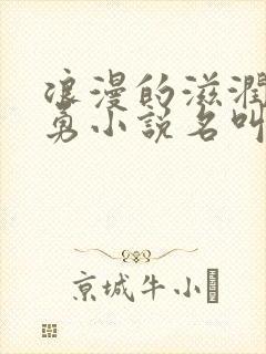 浪漫的滋润刘大勇小说名叫什么?