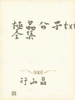 极品公子txt全集