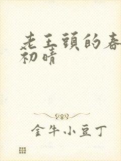 老王头的春天林初晴