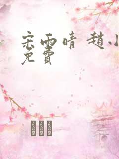 宋雨晴 赵小刚免费