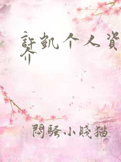 许凯个人资料简介