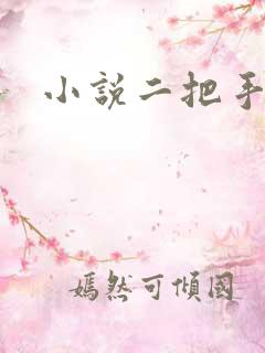 小说二把手