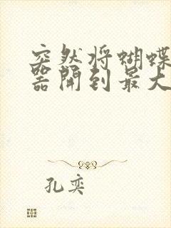 突然将蝴蝶遥控器开到最大