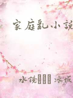 家庭乱小说