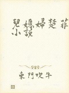 儿媳妇楚菲菲的小说