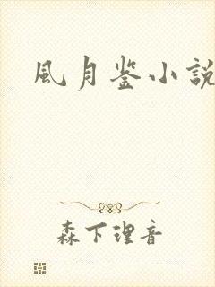 风月鉴小说论坛