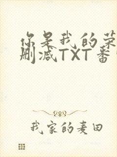 你是我的荣耀未删减TXT番外