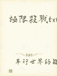 极限杀戮txt