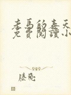 老马的春天全文免费阅读小说