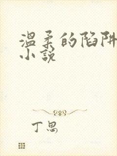 温柔的陷阱周芸小说