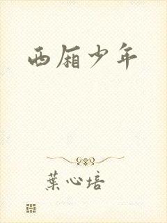 西厢少年