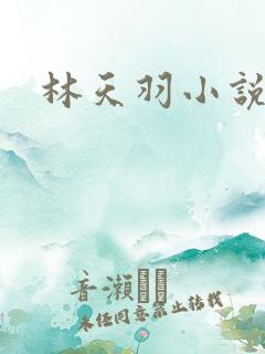 林天羽小说