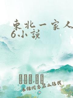 东北一家人1一6小说