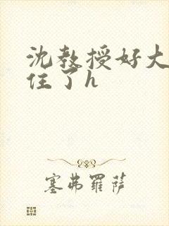 沈教授好大含不住了h